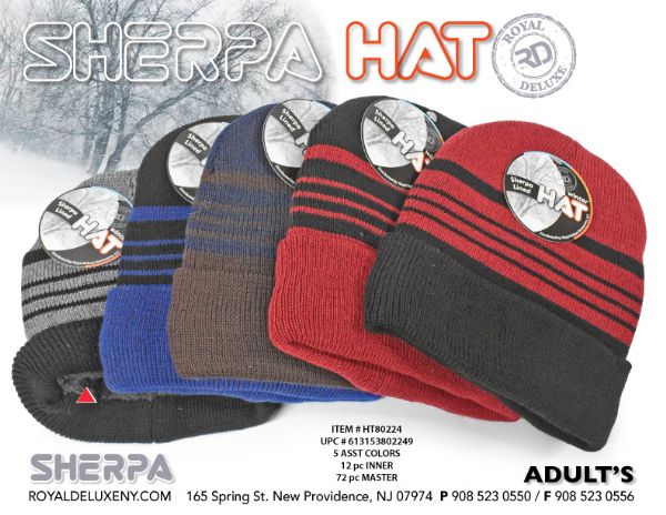 Men's Sherpa Lined Striped Hat